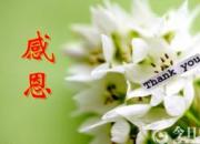 【今日朝陽網(wǎng)】感恩，觸動(dòng)心靈的琴弦