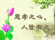 【今日朝陽網(wǎng)】青春正當時，少年安能不向上（王薪同）