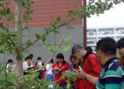 【今日朝陽網(wǎng)】姹紫嫣紅競(jìng)芳菲（劉忠智）