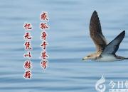 【今日朝陽(yáng)網(wǎng)】高二感懷（任思凝）