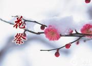 【今日朝陽(yáng)網(wǎng)】花祭（任思凝）