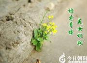 【今日朝陽網(wǎng)】水滸情仇錄（三）（辛生幟匯）