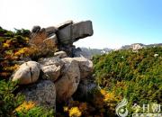 奇山偉岳稱雄峻——山東青島嶗山（陳玉民）