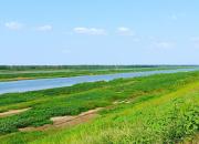 江河萬(wàn)里海湖渾——淮河（陳玉民）