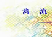 【養(yǎng)殖】禽流感｜公益課（孔佳音）