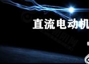 【電氣】直流電動機｜公益課（王素云 李欣洋）