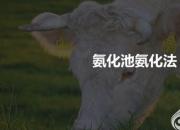 【養(yǎng)殖】粗飼料的加工調(diào)制——氨化池氨化法｜公益課（馮會中）