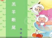 【養(yǎng)殖】羔羊斷尾｜公益課（楊曉靜）