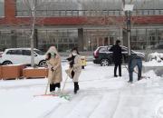 雪過天霽校園美（李秀露）